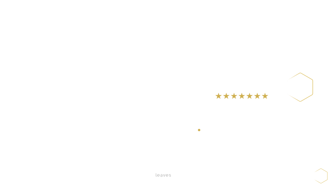 BUSINESS-SHAPE-WHITE