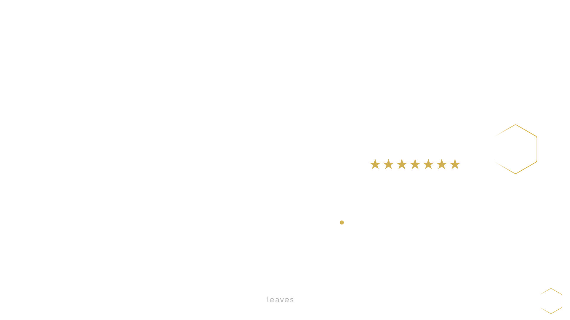BUSINESS-SHAPE-WHITE